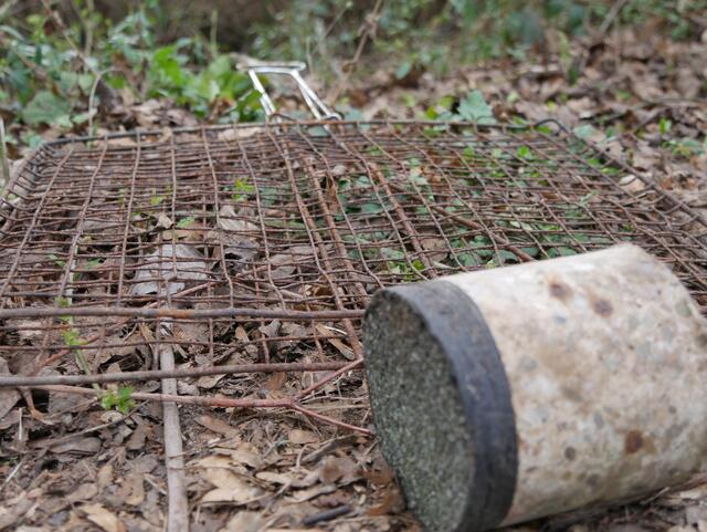 Neben dem Überrest der Kernbohrung war noch ein verrosteter Grillrost zu finden  | Foto: Kim Rileit