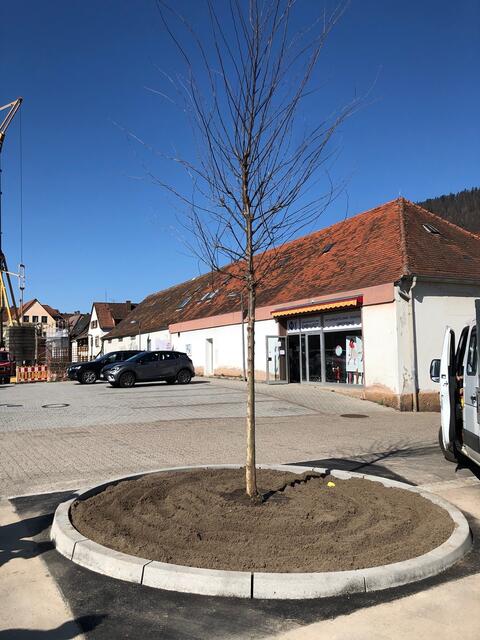 Der Platz zwischen VR-Bank und Sparkasse wurde wieder aufgewertet, dank der hervorragenden Umsetzung des Bauhofes und Hilfe der beiden Institutionen.  | Foto: Stadt Annweiler