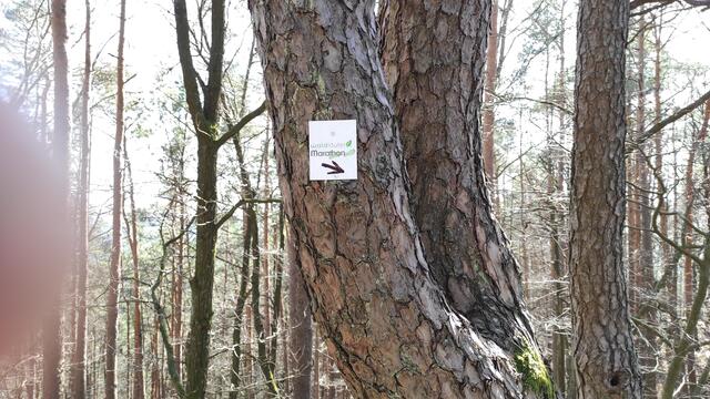 ...auch der Waldläufer Marathon führt hier entlang. | Foto: B.Bender
