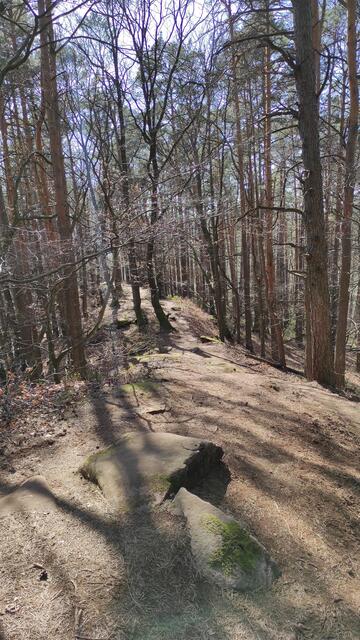 Für Kinderwägen und ältere Menschen ist der Weg wohl eher nicht geeignet. | Foto: B.Bender