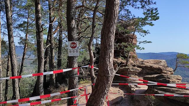 Aus Gründen des Vogelschutzes ist ein Teil des Rötzenfelses im Frühjahr bis Ende Juni gesperrt. | Foto: B.Bender
