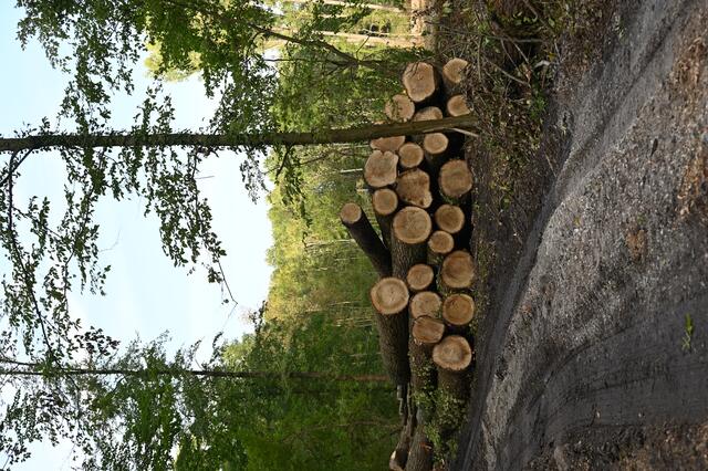 „Am Kirchel in der Brunnengewanne“  im Oktober 2020 | Foto: A. Abt