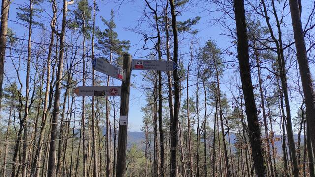 Der Weg ist gut ausgeschildert. | Foto: B.Bender