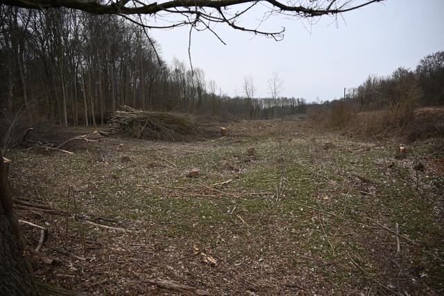 „Am Kirchel in der Brunnengewanne“  im März 2021 - Blick vom Schmerbach in Richtung Jockgrim. Auf der rechten Seite verläuft die Bahnlinie.  | Foto: A. Abt