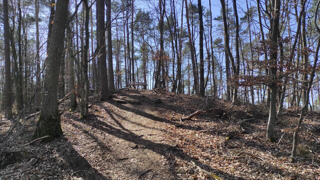 Von der Aussichtsplatform geht es weiter hoch zum Gipfel des Rötzenbergs. | Foto: B.Bender