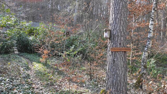 Der Weg führt an der Hütte des Voglschutzvereins vorbei. | Foto: B.Bender