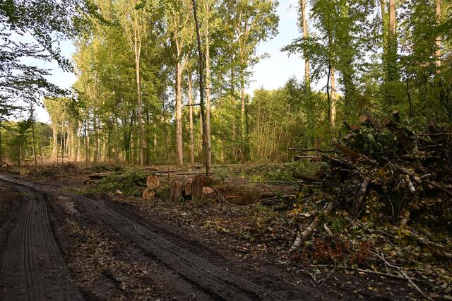 „Am Kirchel in der Brunnengewanne“  im Oktober 2020 | Foto: A. Abt