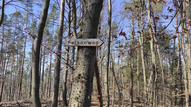 Über den Felsenweg geht es weiter zum Rötzenfels. | Foto: B.Bender