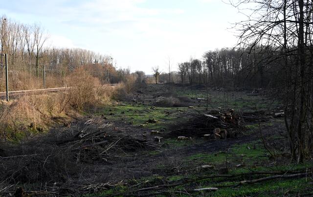 „Am Kirchel in der Brunnengewanne“  im März 2021 - Blick von Jockgrim in Richtung Wörth. Auf der linken Seite verläuft die Bahnlinie.  | Foto: A. Abt