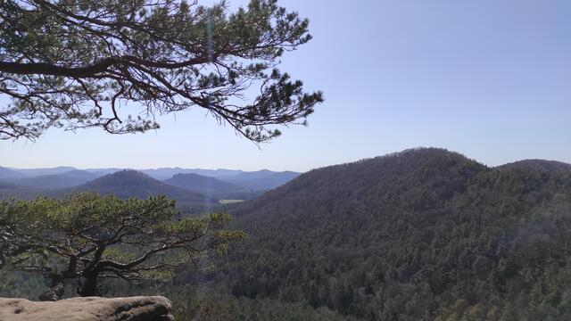 Blick auf Burg Lindelbrunn vom Rötzenfels aus. | Foto: B.Bender