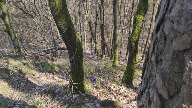 Steiler Anstieg in Serpentinen zum 4-Burgenblick | Foto: B.Bender