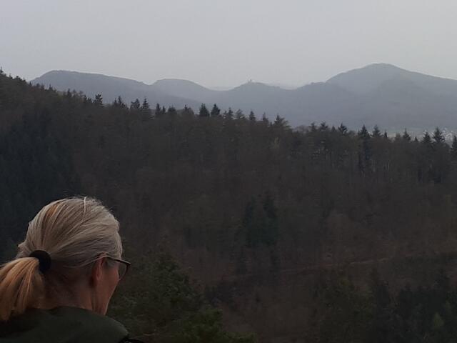 Foto: Markus Pacher
