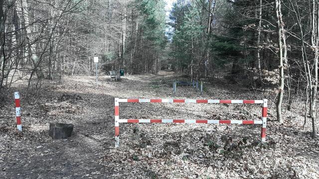 Hier geht's los: Der Eingangsbereich des Trimm-Dich-Pfades | Foto: Tim Altschuck