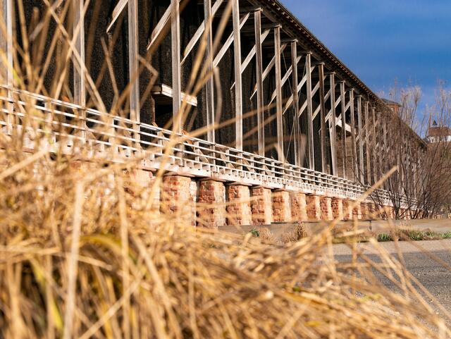 Das Gradierwerk Bad Dürkheim | Foto: Kim Rileit