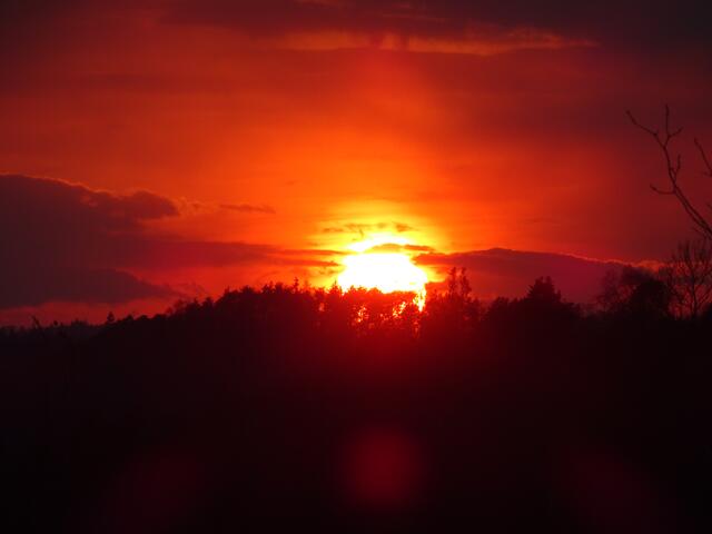 Foto: Markus Pacher