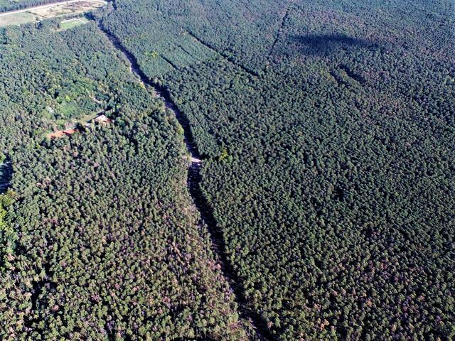 Rehbachtrasse durch Trinkwasserreservegebiet