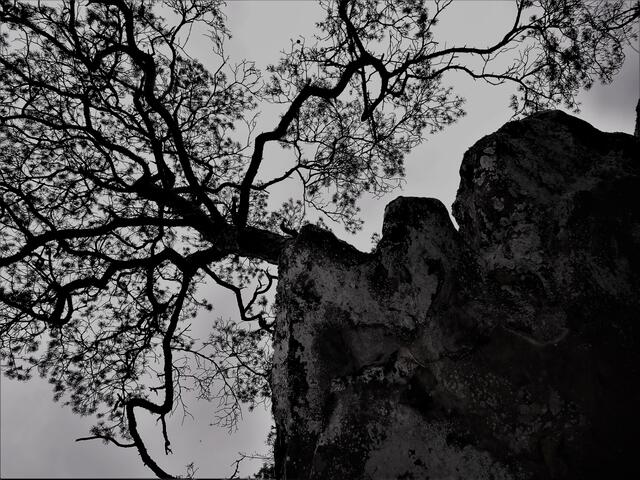Foto: Markus Pacher