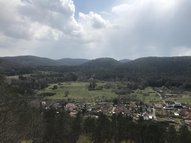 Östliches Birkenhördt | Foto: B. Bender