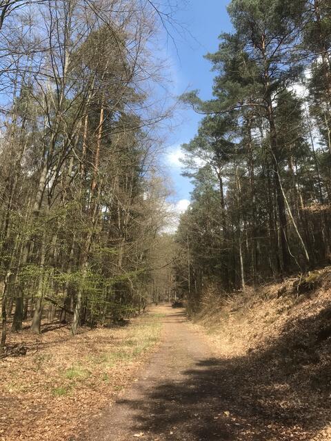 Jetzt geht es bergauf | Foto: B. Bender
