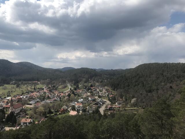 Nördlich Birkenhördt | Foto: B. Bender