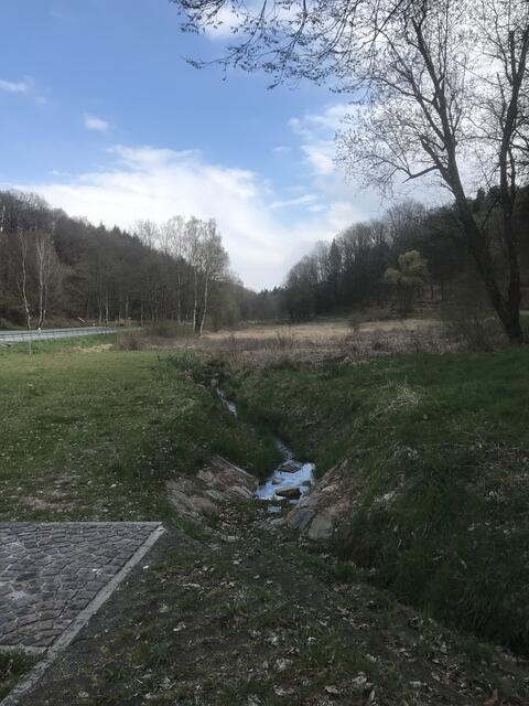 Der Erlenbach entspringt in Birkenhördt | Foto: B. Bender