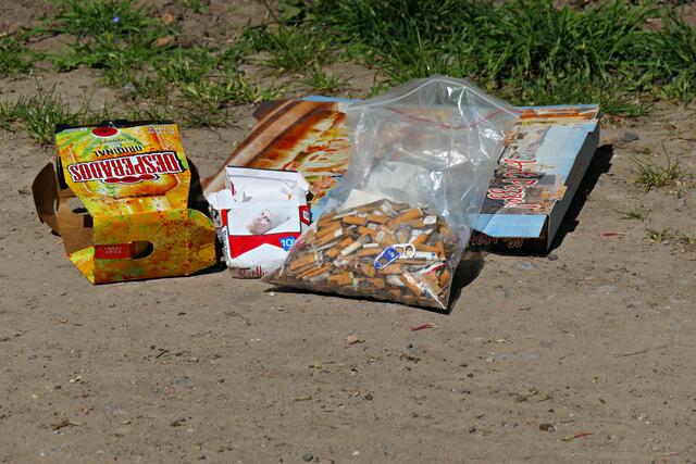 Ein Teil des aufgesammelten Mülls, der einfach in die Natur geworfen wird | Foto: Brigitte Melder