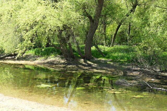 Eine wunderschöne unberührte Natur offenbarte sich mir | Foto: Brigitte Melder