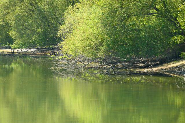 Natur pur | Foto: Brigitte Melder