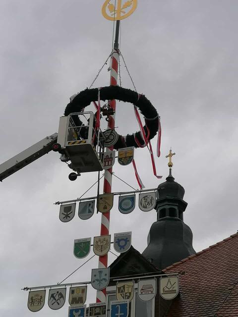 Schon im März und völlig ohne "Brimborium" hat der Verein Speyerer Handwerkstradition den Zunftbaum vor der Alten Münze errichtet | Foto: Speyerer Handwerkstradition e. V. 