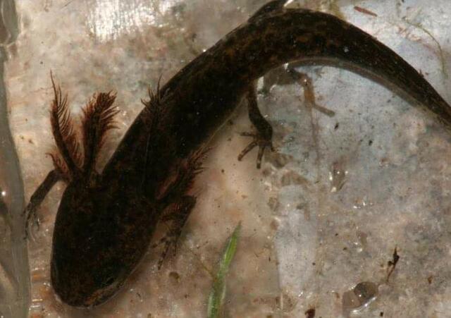 Foto: Yvonne Klesius