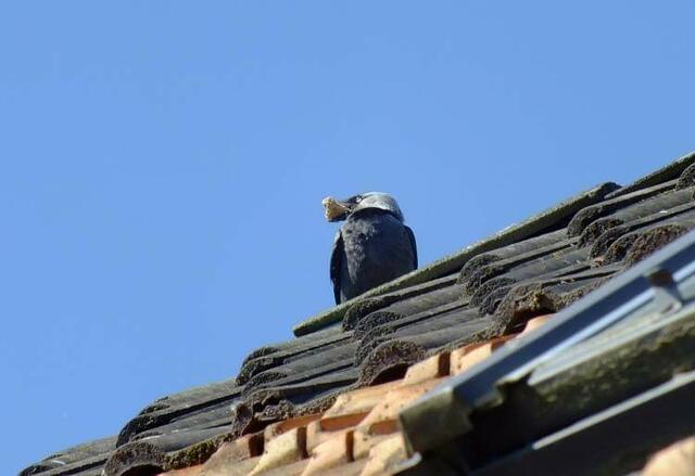 Foto: Yvonne Klesius