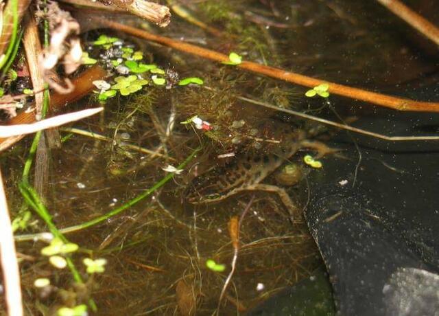 Foto: Yvonne Klesius