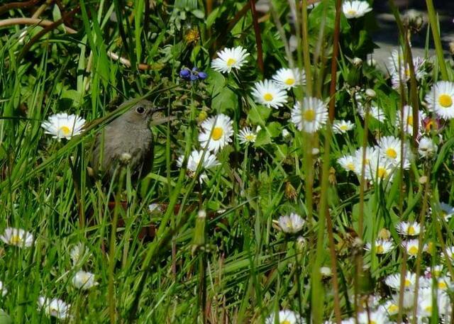 Foto: Yvonne Klesius