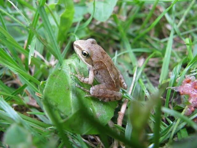 Foto: Yvonne Klesius