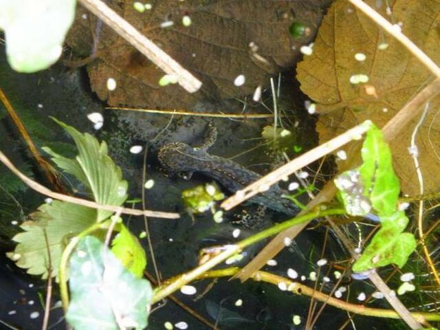 Foto: Yvonne Klesius