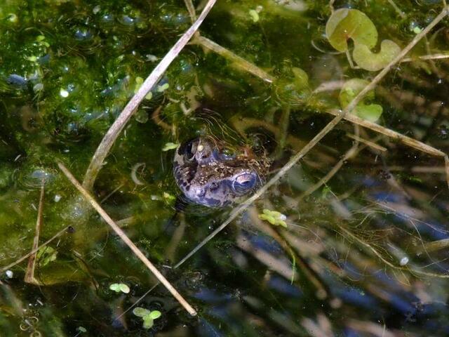 Foto: Yvonne Klesius