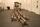 The pack (das Rudel), Installation von Joseph Beuys. | Foto: Franz Walter Mappes