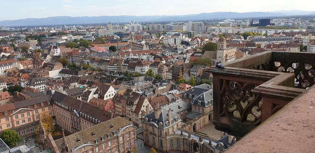 Blick vom Münster über Straßburg | Foto: Jens Vollmer