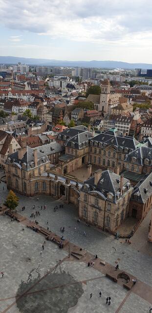 Palais des Rohan, der alte Sitz des Bischofs von Straßburg vom Münster aus fotografiert | Foto: Jens Vollmer