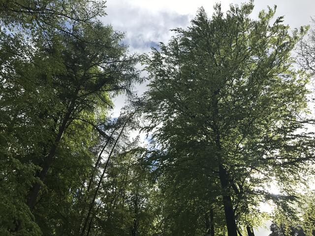 Dem Himmel so nah | Foto: B. Bender