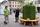 Dr. Markus Dotterweich (links) von der Palaterra Betriebs- und Beteiligungsgesellschaft erläutert Umweltdezernent Lukas Hartmann, wie der mobile vertikale Garten funktioniert.  | Foto: Stadt Landau