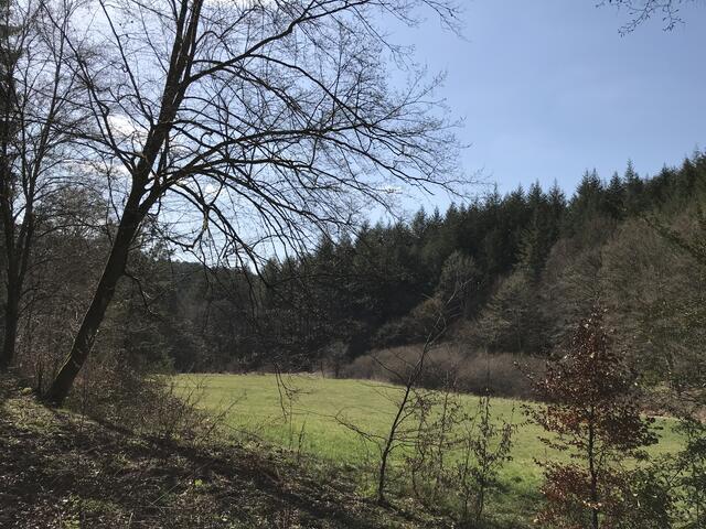 Rundwanderweg "Erlebniswelt Wasser" | Foto: B. Bender