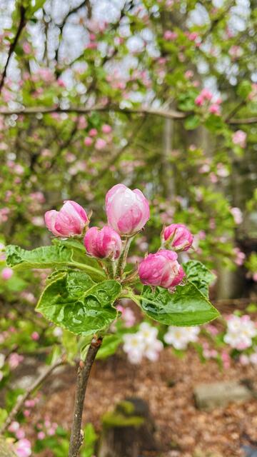 Foto: JP-Photografie - www.jp-photografie.de