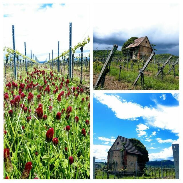 Blickwinkel  | Foto: S.Bast