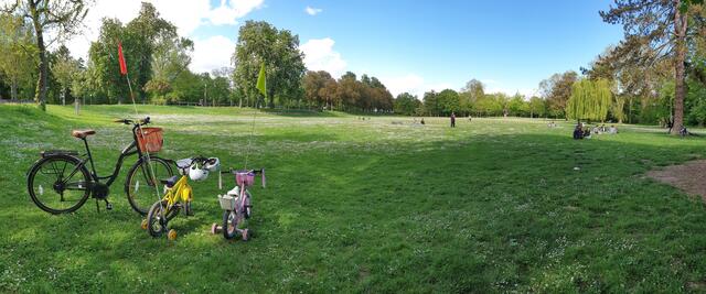 Ein herrlicher Sonntag auf der Spielwiese "Kipfelsau" in Speyer
. | Foto: Michael Lorek