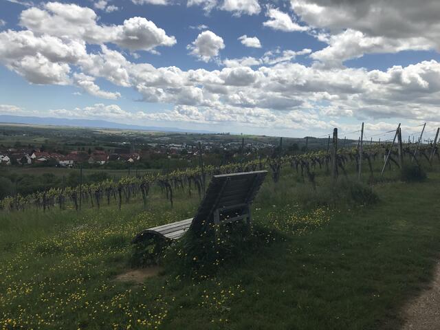 Ausruhen und den Blick schweifen lassen | Foto: B. Bender