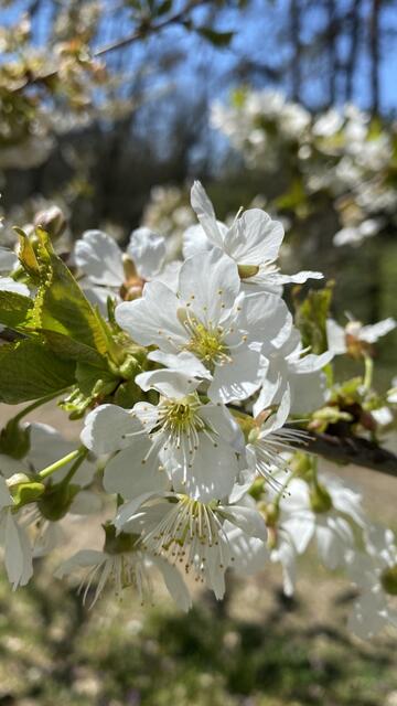 Foto: JP-Photografie  (www.jp-photografie.de)