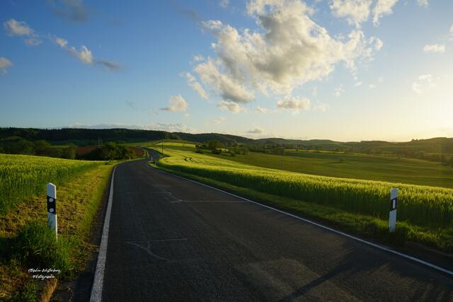 Frühlingsfarben im Potzbachertal zwischen Lohnsfeld und Potzbach  | Foto: Stephen Wüstenberg Photographie - Wartenberg-Rohrbach