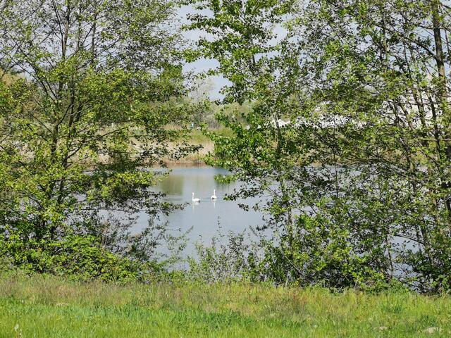 Foto: Heike Schwitalla