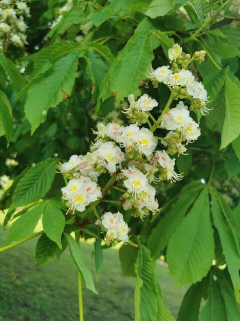 Foto: Heike Schwitalla